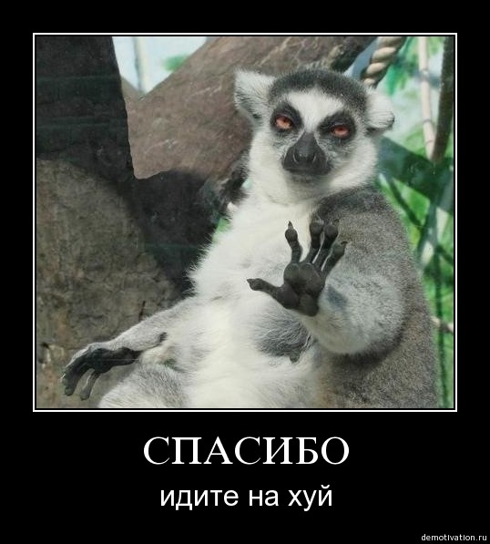 СПАСИБО!