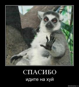 СПАСИБО!
