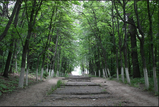 пенза