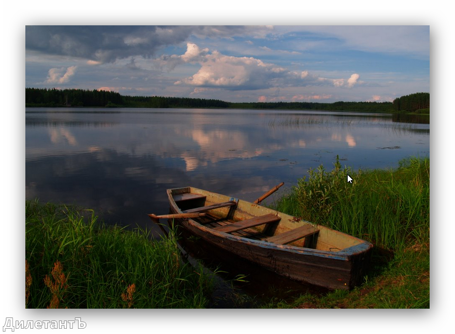 Шлино